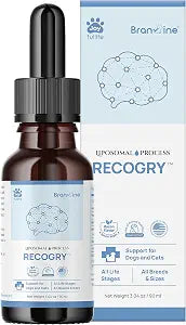 Recogry Liquid Cognitive Disorder and Brain Support for Dogs and Cats with Astaxanthin, Phosphatidylserine, Alpha GPC, DHA, Olive, Coconut, Sage, Turmeric, Ginger (90ml)
