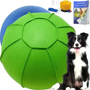 Herding Ball for Dogs, Large Dog Training, Jolly Ball for Australian Shepherd and Collie 25 inch (Orange) (Green)