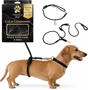 Hands-Free No-Pull Dog Leash | Durable Adjustable Training Lead for Dogs | Calm Command Outdoor Activity Leash for Active Pet Lifestyle Breeds | Ergonomic Handle - Small (25 lbs and Under)
