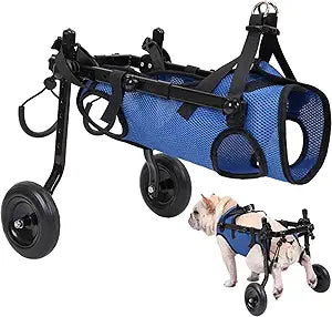 Dog Wheelchair for Back Legs, Adjustable Support for Small Dogs (M) | Lightweight design helps small dogs maintain mobility, comfort, and independence during daily activities.