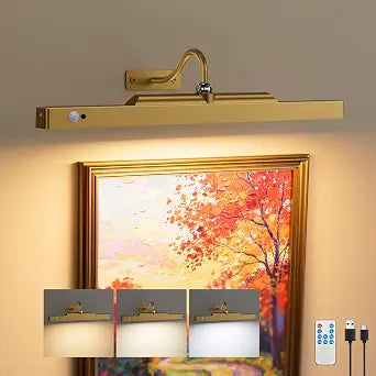 Wireless Picture Light for Wall with Motion Sensor, 16 Inch, Brass, 1 Pack