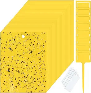 Qualirey 200 Pcs Yellow 6 x 8 Inch Sticky Traps for Gnats Dual Sided Fruit Fly Sticky Traps for Indoor and Outdoor Plant with Twist Ties and Plastic Holders for Fungus Gnats, Bug, Flying Insect