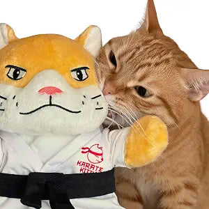 KARATE KITTY - Cat Wrestling Glove & Puppet Toy with Protective Arm Sleeve Interactive Boxing Cat Toy for Indoor Cats with Catnip Pocket & Crinkle Ears