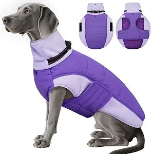 DENTRUN Dog Coat with Built-in Collar, Warm Jacket Plush Turtle Neck | Windproof & water-repellent shell, adjustable fit, cozy plush lining, reflective for night walks, XS-XXXL for all breeds