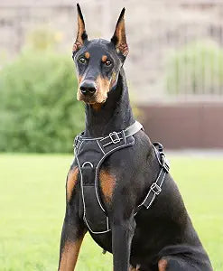 4Knines No Pull Dog Harness for Large Dogs Adjustable Reflective Harness with Front & Back Leash Clips Durable, Easy Control for Walks & Training (Black)