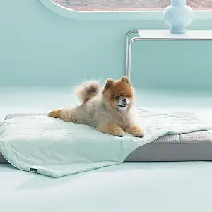 Bedsure Premium Cooling Blanket for Small Dog - Q-MAX>0.5, Breathable Summer Washable Cold Pet Throw Blanket, Soft Durable Self Cooling Cat Mat for Hot Weather, Turquoise Green, 25x35