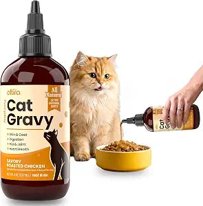 Everyday Cat Gravy - Wet Cat Food Topper for Dry Food and Wet Food with Chicken Bone Broth, Glucosamine, MSM, Omega 3 and Probiotics - Skin, Coat, Heart, Hip & Joint Support, 8oz RoastedChicken