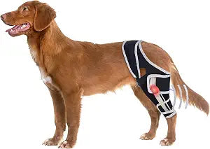 Dog Knee Brace for ACL Injury Support, Adjustable Pet Leg Brace with Stabilizing Side Bars, Reflective Trim, Anti-Slip Curved Fit, Post-Surgery Recovery Support, Suitable for Male & Female Dogs,M