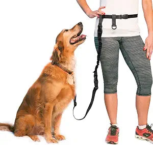 The Buddy System Adjustable Hands Free Dog Leash for Running, Jogging and Training Service Dogs Made in USA (Large Belt (27"- 50" Waist), Bundle Leash + Lunge Buster)