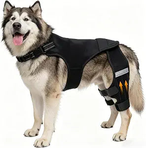 Dog Knee Braces for Torn ACL Hind Leg, Adjustable Dog Leg Braces for Back Leg with 4 Stabilizers for Luxating Patella Relieves Ligament Injury and Joint Pains