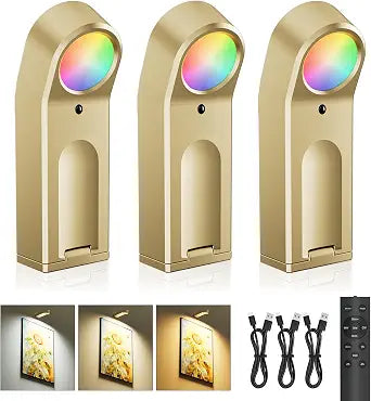 AIFEI Picture Lights for Wall: Compact Rechargeable 4000mAh Art Light