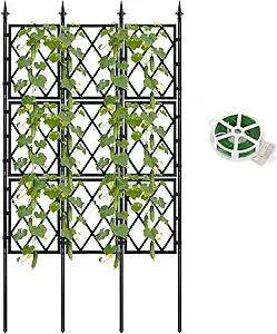 5.25FT Garden Trellis for Climbing Plants Outdoor, Black Iron Pipe Support Fence,Metal Wall Lattice Climbing Frame for Potted Plants Indoor for Ivy Vines Vegetable Flower, Patio, Lawn, Yard, Backyard