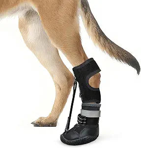 Idepet Dog Drop Foot Brace Strap On (No Knuckling Boot Brace) Dog Boot Leg Braces for Leg Support, Dog Shoes Lift Toes for Foot Issues, Arthritis, Pet Corrector for Dogs (6)