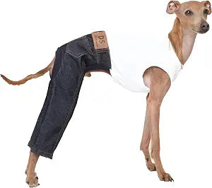 D Doggy Star Italian Greyhound Clothes Sleeveless Jeans Onesie Outfit Whippet for Dog Coat (XL,Blue Jean)