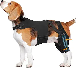 Dog Knee Brace for Torn Acl Hind Leg, Adjustable for Back Leg with 4 Stabilizers, Reduces Pain, Ligament Injuries & Luxating Patella for Small Medium Large Dogs,(Solid Black-M)