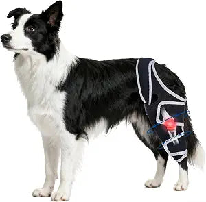 Dog Knee Brace for Torn Acl Hind Leg - Relieves Ligament Injury and Joint Pain, Adjustable Leg Support Bracket for Warmth and Support, Universal Dog Knee Brace for Four Legs,Size L.