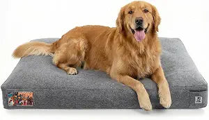 Sytopia 42 Inch Durable Dog Beds for Extra Large Dogs, Waterproof Pet Crate Mat with Machine Washable Removable Cover, Great for Indoor, Outdoor, Crate, Patio Use, Grey