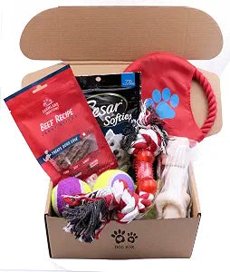 Deluxe Dog Gift Box Set with Pet Chew Toys Treats Snacks