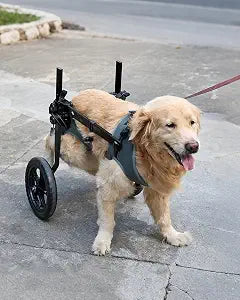 Adjustable Large Dog Wheelchair for Back Legs, Upgraded Wheel, Disabled Pets, Leg Brace, Mobility Aid for Large Pets, Hind Limb Rehabilitation, Older, Disabled (XL(Chest 28.3-33.9in))