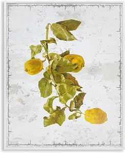 Natural Lemon Fruits Kitchen, 16 x 20 Inch Framed Gicle Print