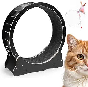 Cat Wheel Exerciser for Indoor Cats in Black Finish