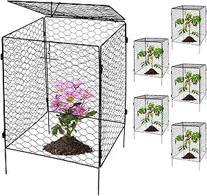 Kalolary 5 Packs Plant Protectors with Cover from Animals, 20''Large Square Wire Plant Cage Metal Garden Plant Protection Chicken Wire Cloche for Plant Flowers Vegetable (20'' x12.6''x 12'')