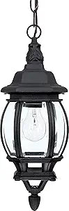 Capital Lighting 9868BK French Country Clear Glass Outdoor Pendant, 1-Light 100 Watt, 17" H x 7" W, Black