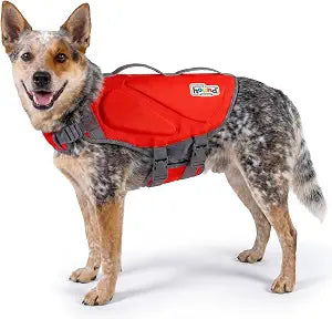 Outward Hound Dawson Swim Red Dog Life Jacket, Medium