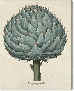 Wynwood Studio Food and Cuisine Wall Art Canvas Prints 'Fructics Artifochi' Vegetables Home Dcor, 16" x 24", Green, Brown