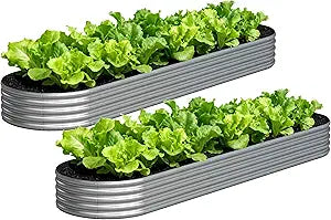 Galvanized Raised Garden Bed Outdoor, 12x2x1ft(2Pack) Metal Heavy Duty Planter Boxes for Gardening, Easy Assemble Bottomless Small Oval Plant Container Kit for Vegetable, Flower, Fruit, Silver
