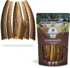WhiteTail Naturals Antlers for Dogs (6 Pack) Deer Antler Dog Chew Bones for Small Aggressive Chewers - Long Lasting Whole Antlers - Hand Trimmed & Naturally Shed