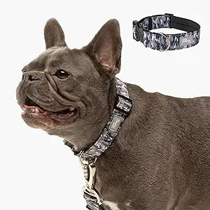 Dog Friendly Co. Tactical Dog Collar | Comfortable & Secure | Quick Release Clip Buckle and Heavy Duty D-Ring | Soft Padded Neoprene, Chafe Resistant, Night-Time Visibility | Grey Camo, Size M