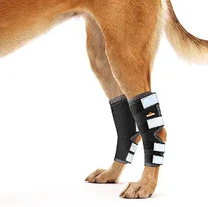 NeoAlly - Rear Leg Hock Brace, Dog Leg Brace for Rear Leg, Hock & Ankle Support for Large Dogs, Dog Brace for Torn Acl and Ccl, Long Version, Large, 1 Pair