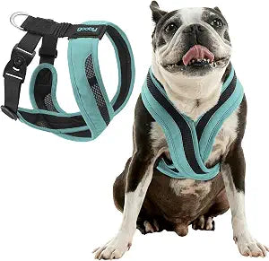 Gooby Comfort X One Dog Harness - Head-in Dog Harness for Small & Medium Sized Dogs - Escape-Free & Choke Free - Breathable Mesh, Shock Absorbing, Easy Snap & Swivel Buckles - Seattle Blue, Medium
