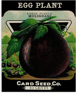 Stupell Industries Vintage Garden Eggplant, 24 x 30 Inch Canvas Wall Art