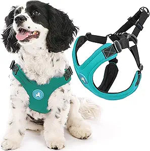 Gooby Escape Free Sport Harness - Turquoise, Large - No Choke Step-in Patented Neoprene Small Dog Harness, Four-Point Adjustment - Perfect on The Go Dog Harness for Medium Dogs No Pull and Small Dogs
