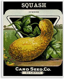 Vintage Garden Squash Rustic, 16 x 20 Inch Framed Gicle Print