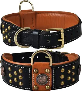Genuine Leather Cupola Series Dog Collar | Celtic Conchos & Gold Dome Rivets | Soft, Cushion Padding, Handmade | Best for Medium, Large, XL Breeds (XL (Neck Size 22.5"-25.5"), Sable Black)