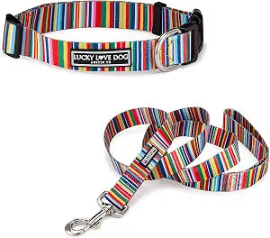 Lucky Love Dog - Easy Click Buckle Dog Collar with Leash Set Combo, Durable & Comfortable for Male & Female Dogs, Pet Collar for Small Dogs, Secure Fit - Hippie Combo, Small