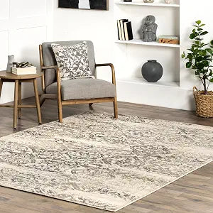 nuLOOM Freja Grey Floral & Paisley Power Loomed Area Rug, 3' x 5'