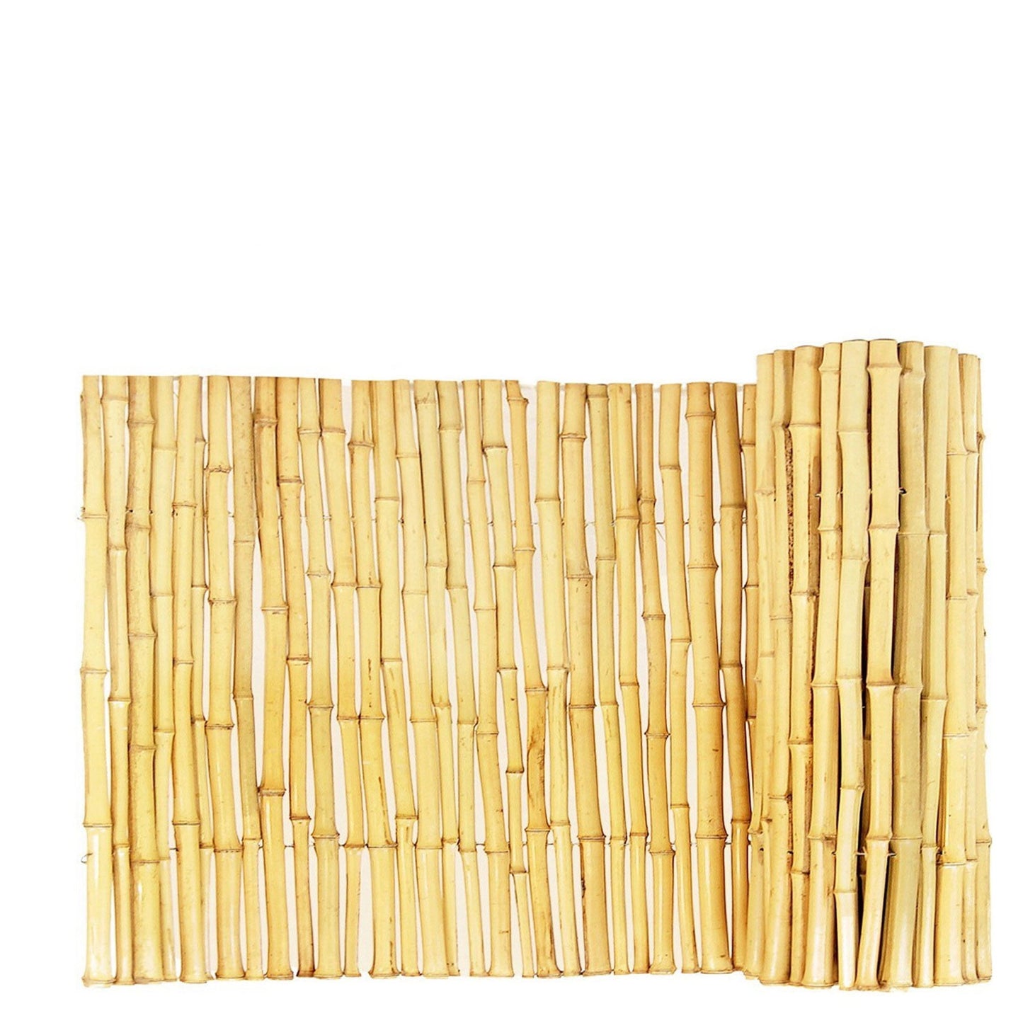 Backyard X-Scapes Natural Bamboo Fence Panel 3/4" D x 6' H x 8' L
