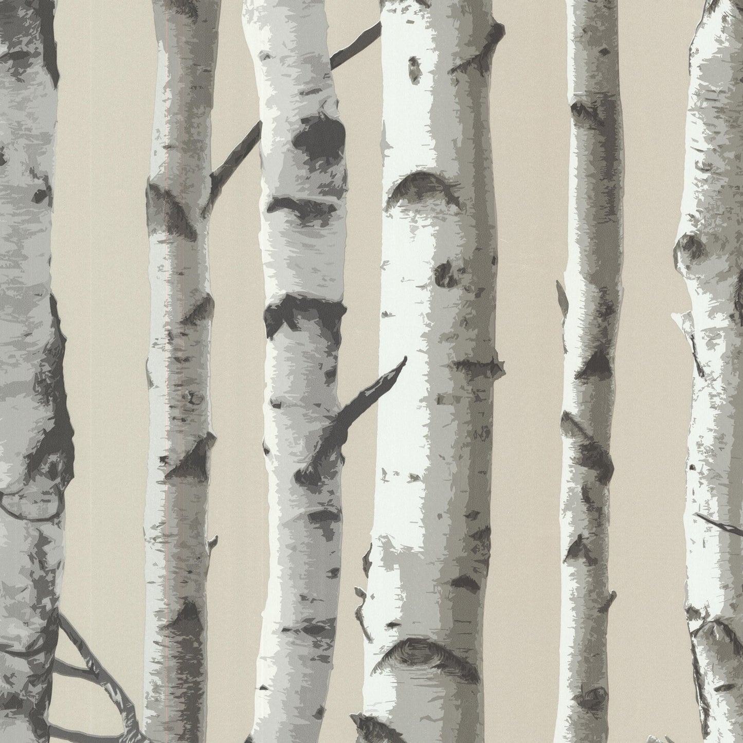 Brewster Irvin Grey Birch Tree Wallpaper
