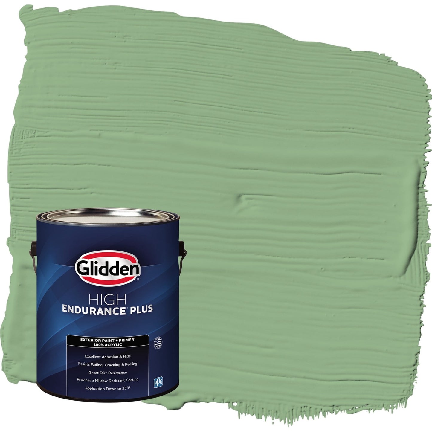 Glidden HEP Pear Cactus / Green Flat Exterior Paint with Primer, 1 Gallon