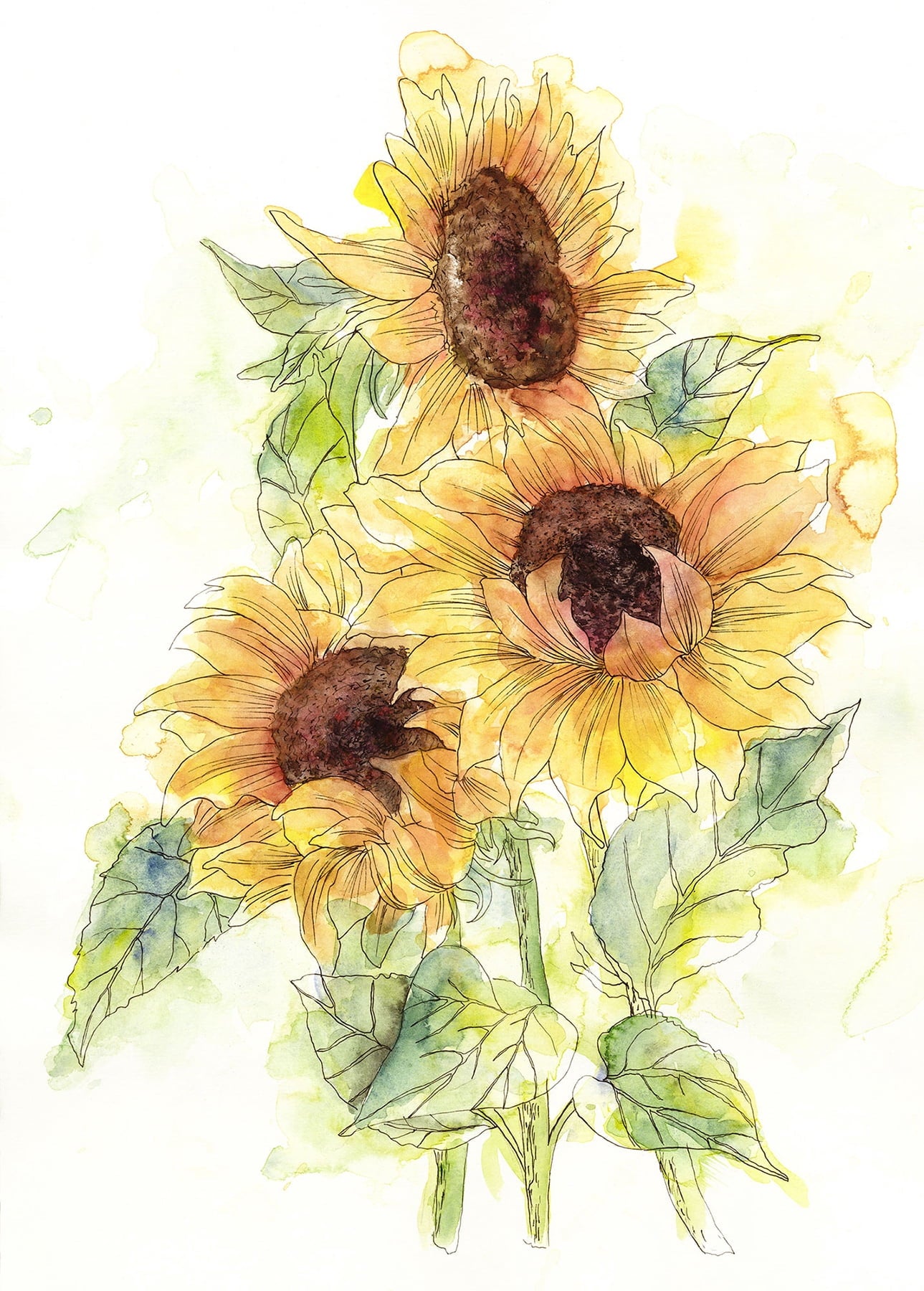 Komar X4-1008 6 ft. 6 in. x 8 ft. 2 in. Girasol Wall Mural