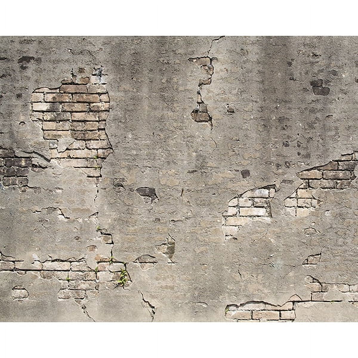 Wall Rogues Brown Dinosaurs Kids Unpasted Non Woven Wall Mural, 94-in by 118-in