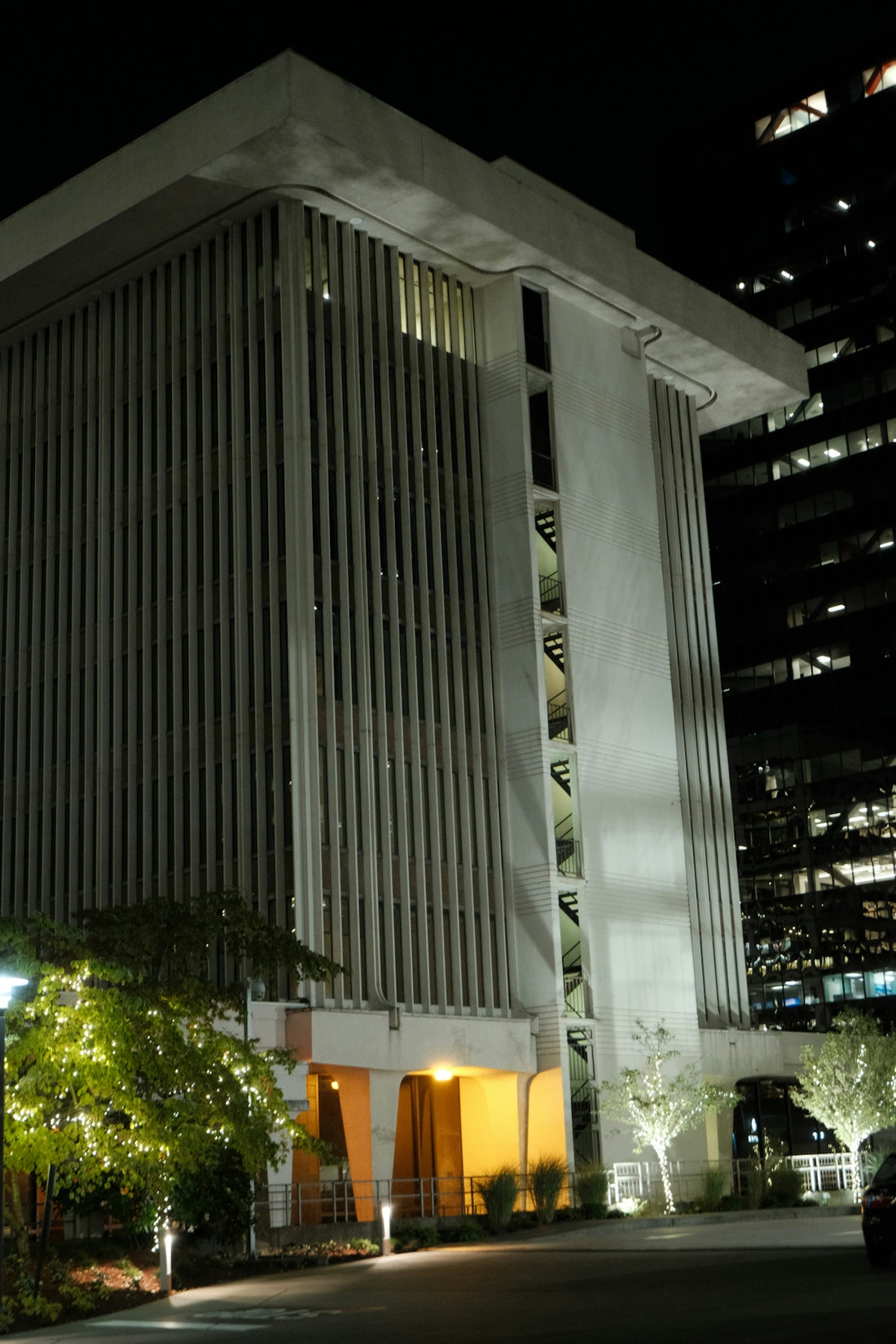 Modern building exterior at night with illuminated trees.