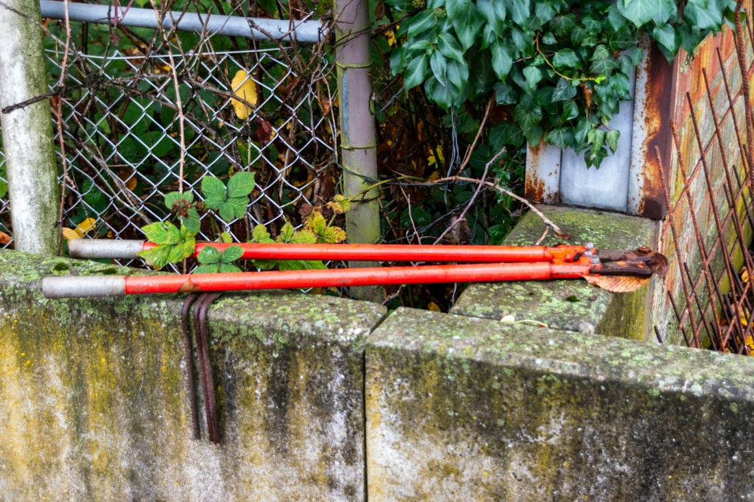 Red bolt cutters resting on a concrete wall