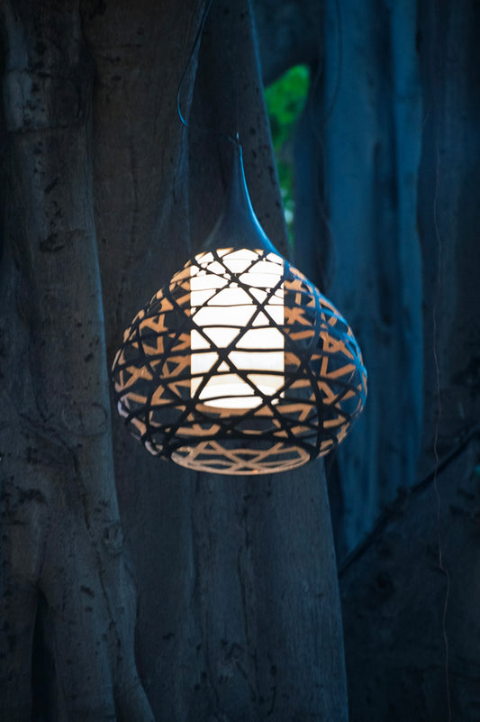 Decorative lantern hanging from a tree