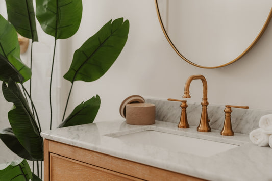 Modern bathroom sink with brass faucet and green plant.