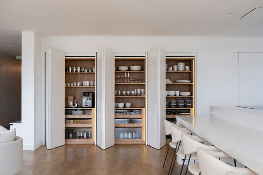 Modern kitchen pantry with organized shelves and appliances